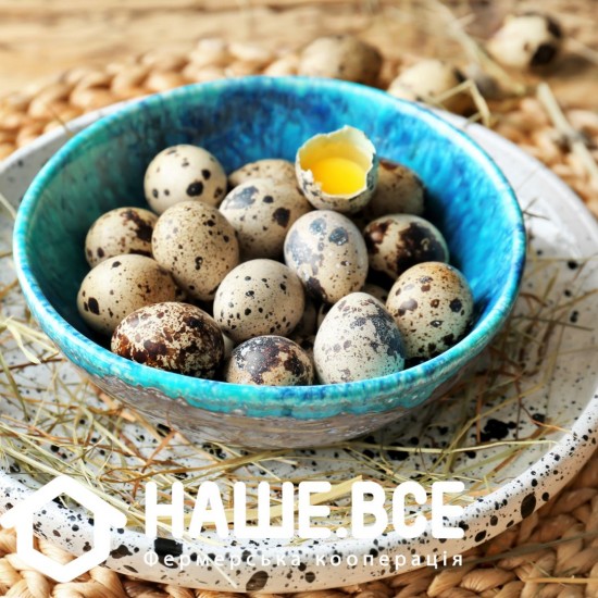 Яйца перепелиные от Татьяны Пантелеймоновой, 20шт